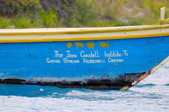GOMBE STREAM NATIONAL PARK, TANZANIA - JUNE 13: a boat of the Jane Goodall Institute on June 13, 2013 in Gombe Stream National Park. This organization aims to protect the great apes and their habitats